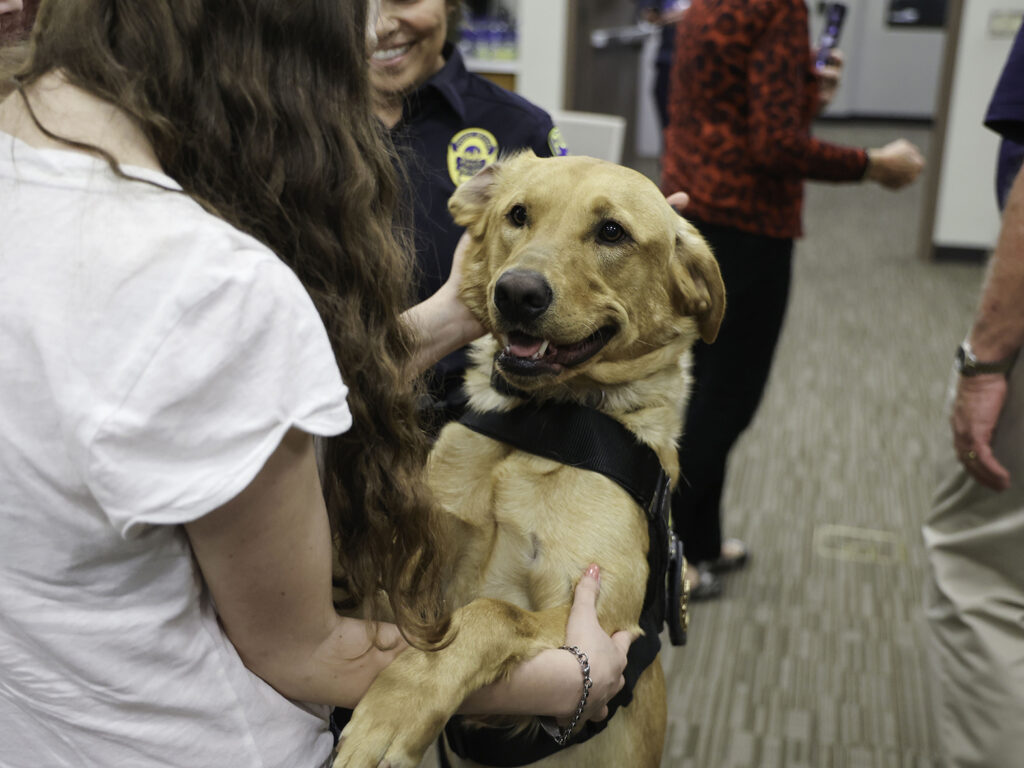 Sniffing For Safety: KHSD Introduces New K9 Officer Enzo