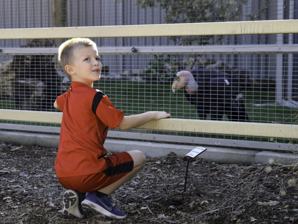 CALM Zoo Unveils Bold 20-Year Plan to Protect Wildlife, Inspire Generations
