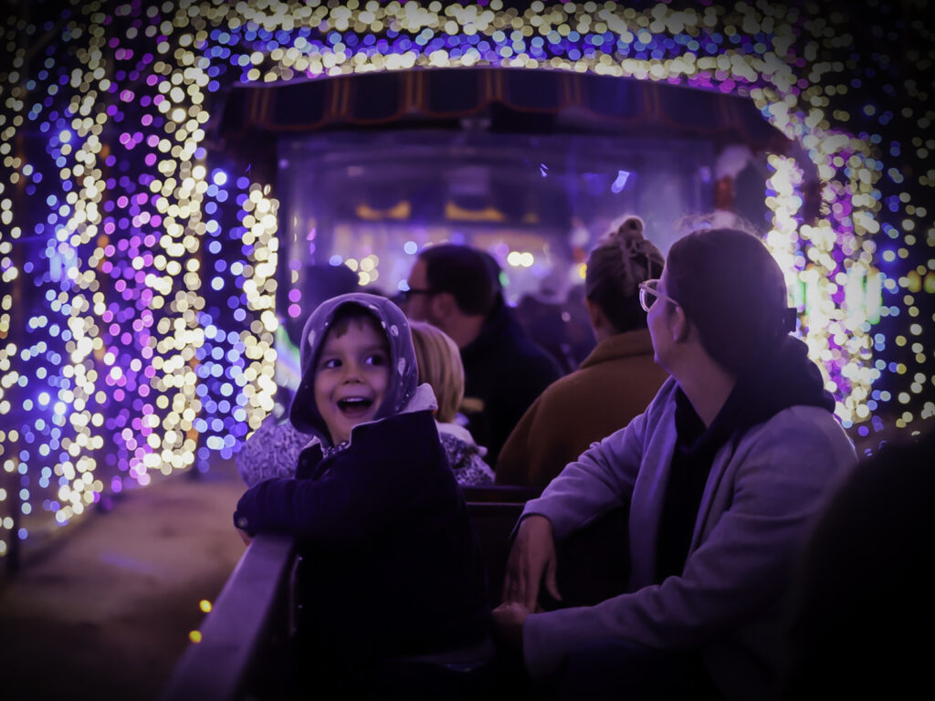 HolidayLights Hosts Preview Night, Opens to Public Saturday