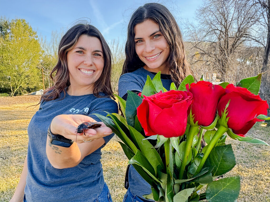 CALM ZOO Launches 3rd Annual Roses or Roaches Valentine’s Day Fundraiser