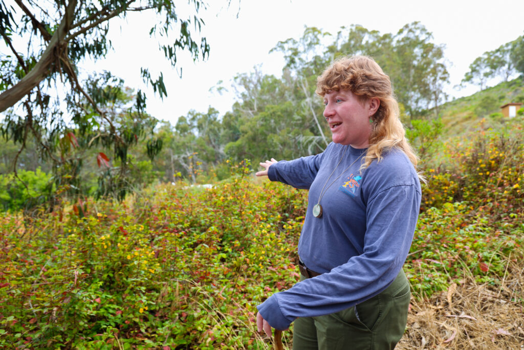 Naturalist pointing out poison oak during hike.