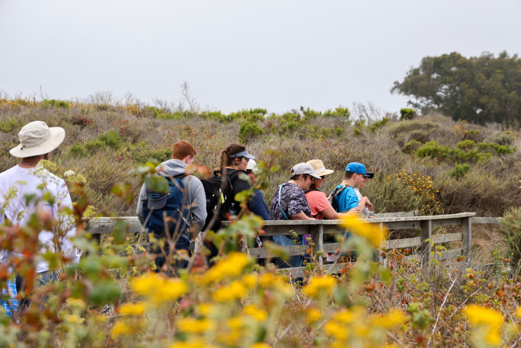 Students and staff looking over a bridge.